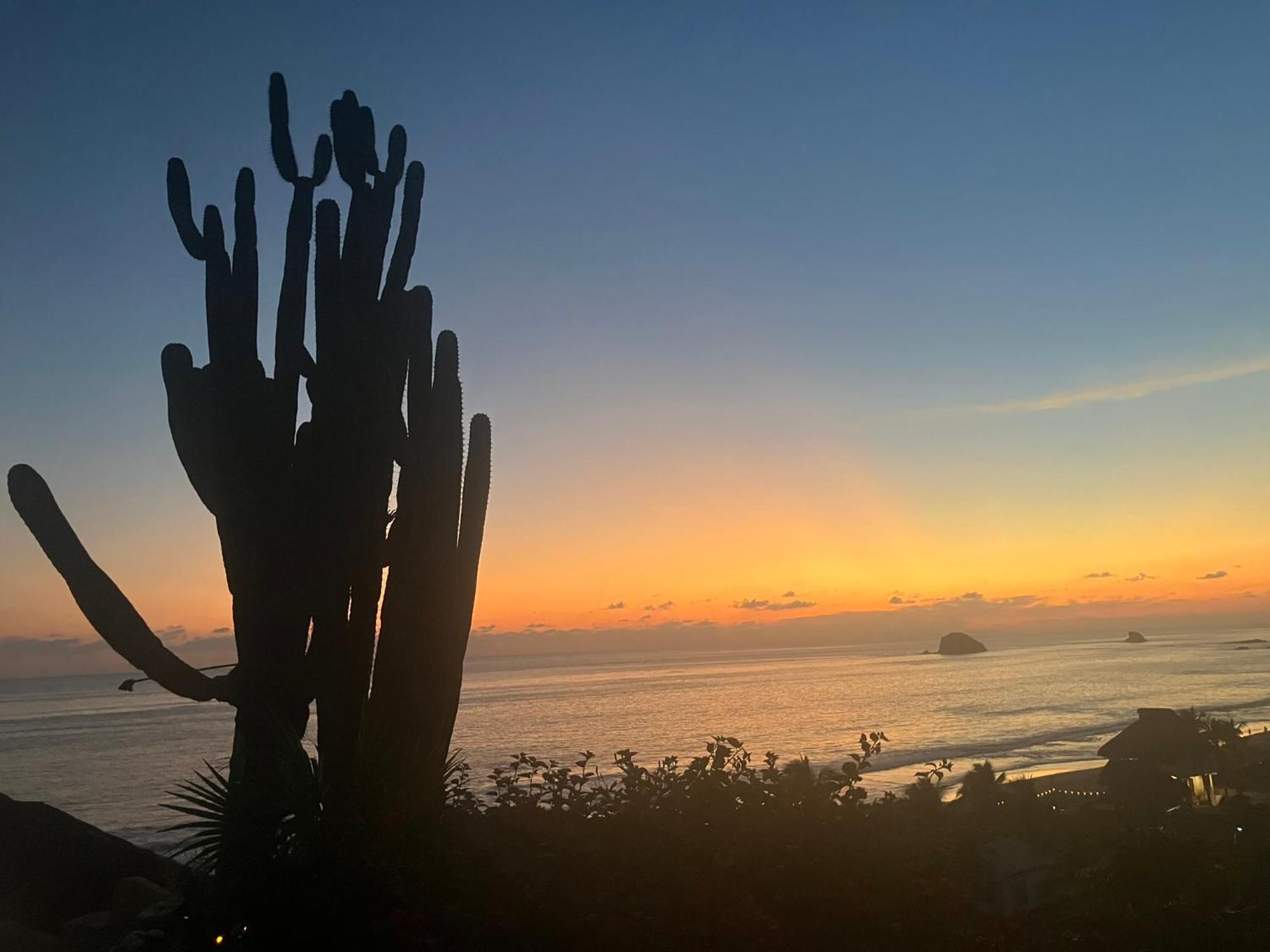 La Loma Linda, Bungalows, Yoga And Feldenkrais, Starlink Internet Zipolite Exteriör bild