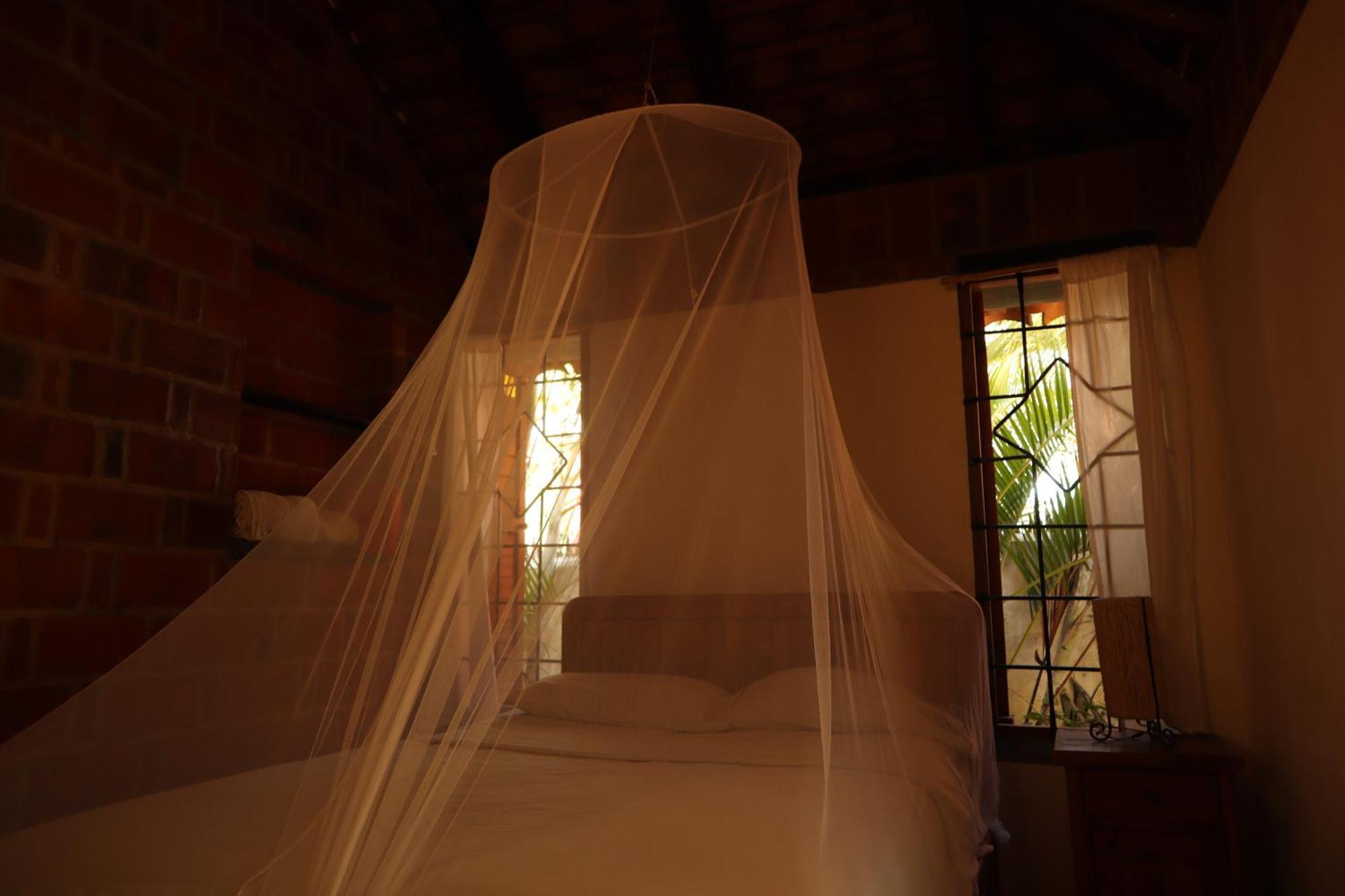 La Loma Linda, Bungalows, Yoga And Feldenkrais, Starlink Internet Zipolite Exteriör bild
