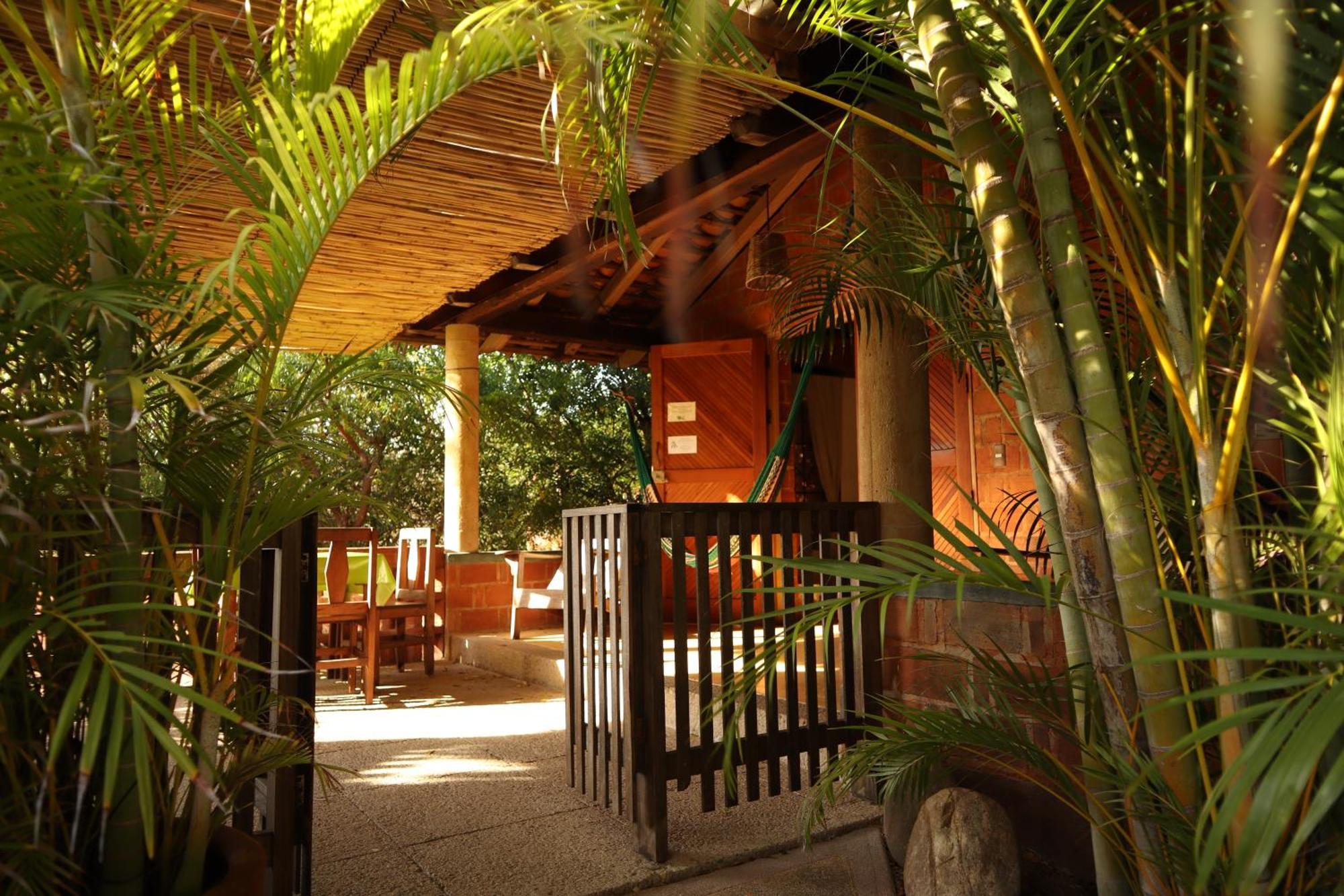 La Loma Linda, Bungalows, Yoga And Feldenkrais, Starlink Internet Zipolite Exteriör bild