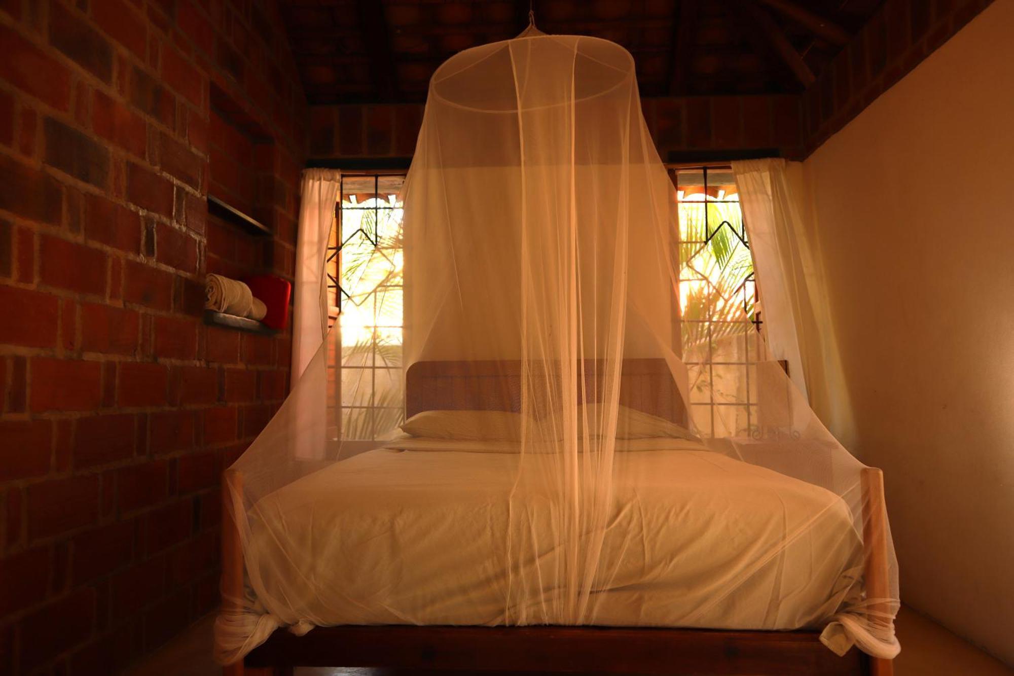 La Loma Linda, Bungalows, Yoga And Feldenkrais, Starlink Internet Zipolite Exteriör bild