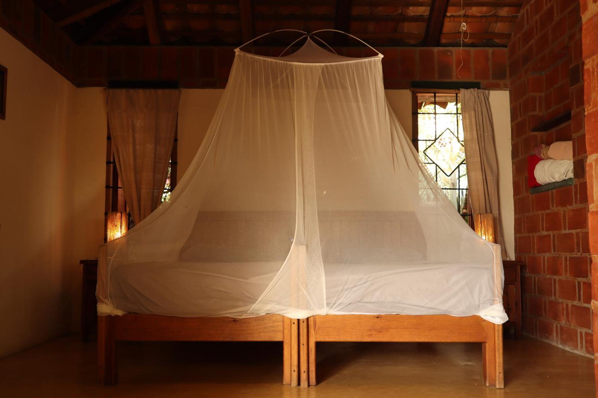 La Loma Linda, Bungalows, Yoga And Feldenkrais, Starlink Internet Zipolite Exteriör bild