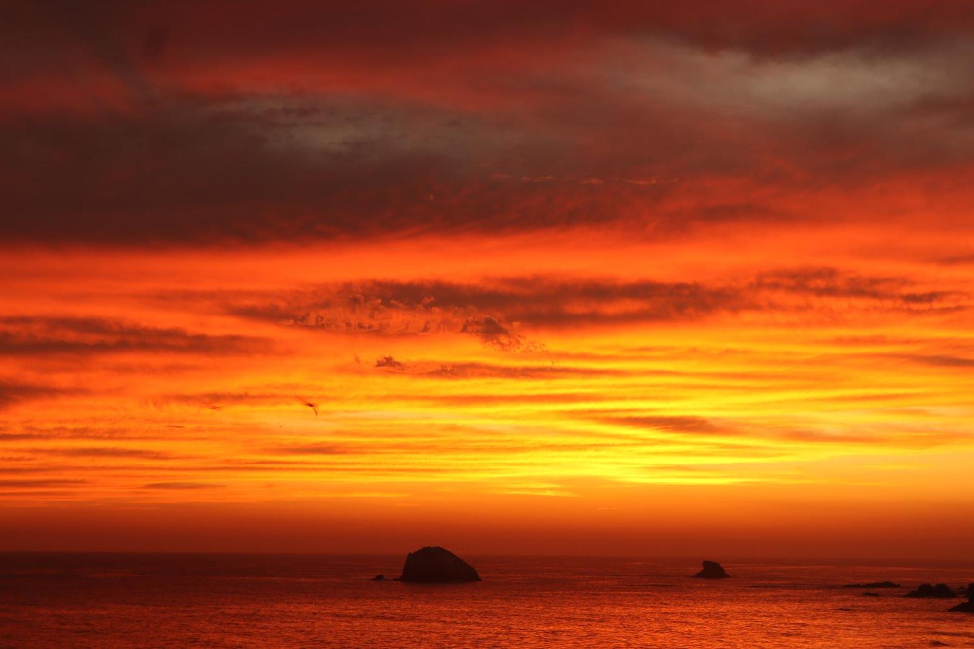 La Loma Linda, Bungalows, Yoga And Feldenkrais, Starlink Internet Zipolite Exteriör bild