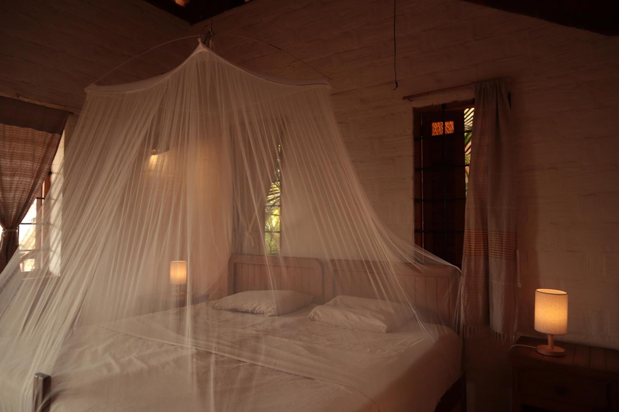 La Loma Linda, Bungalows, Yoga And Feldenkrais, Starlink Internet Zipolite Exteriör bild