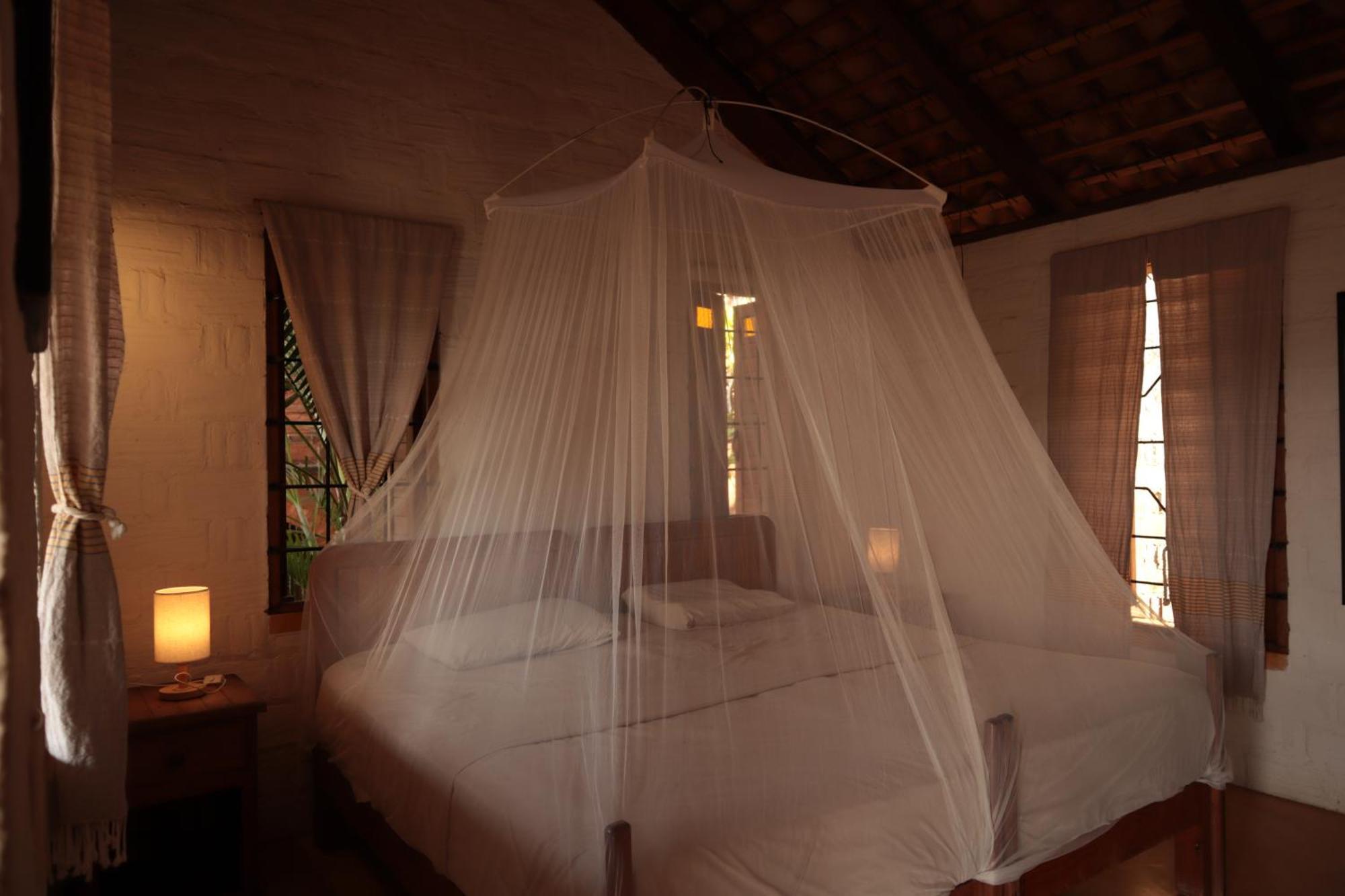 La Loma Linda, Bungalows, Yoga And Feldenkrais, Starlink Internet Zipolite Exteriör bild