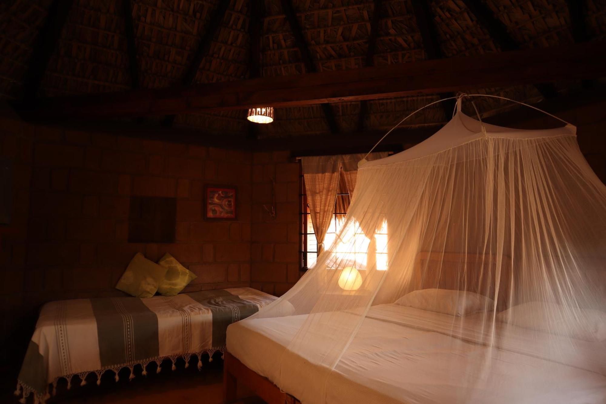 La Loma Linda, Bungalows, Yoga And Feldenkrais, Starlink Internet Zipolite Exteriör bild