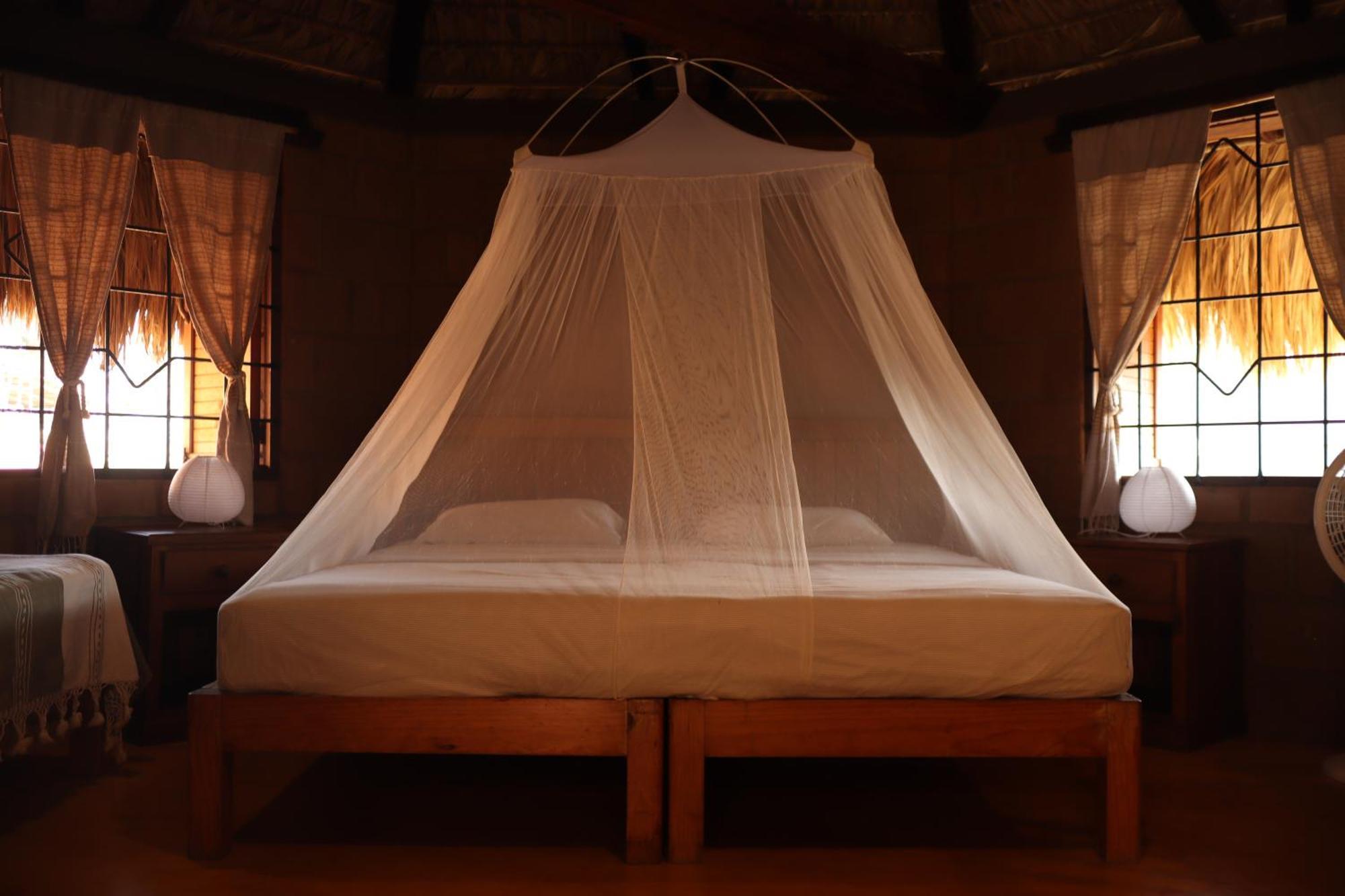 La Loma Linda, Bungalows, Yoga And Feldenkrais, Starlink Internet Zipolite Exteriör bild