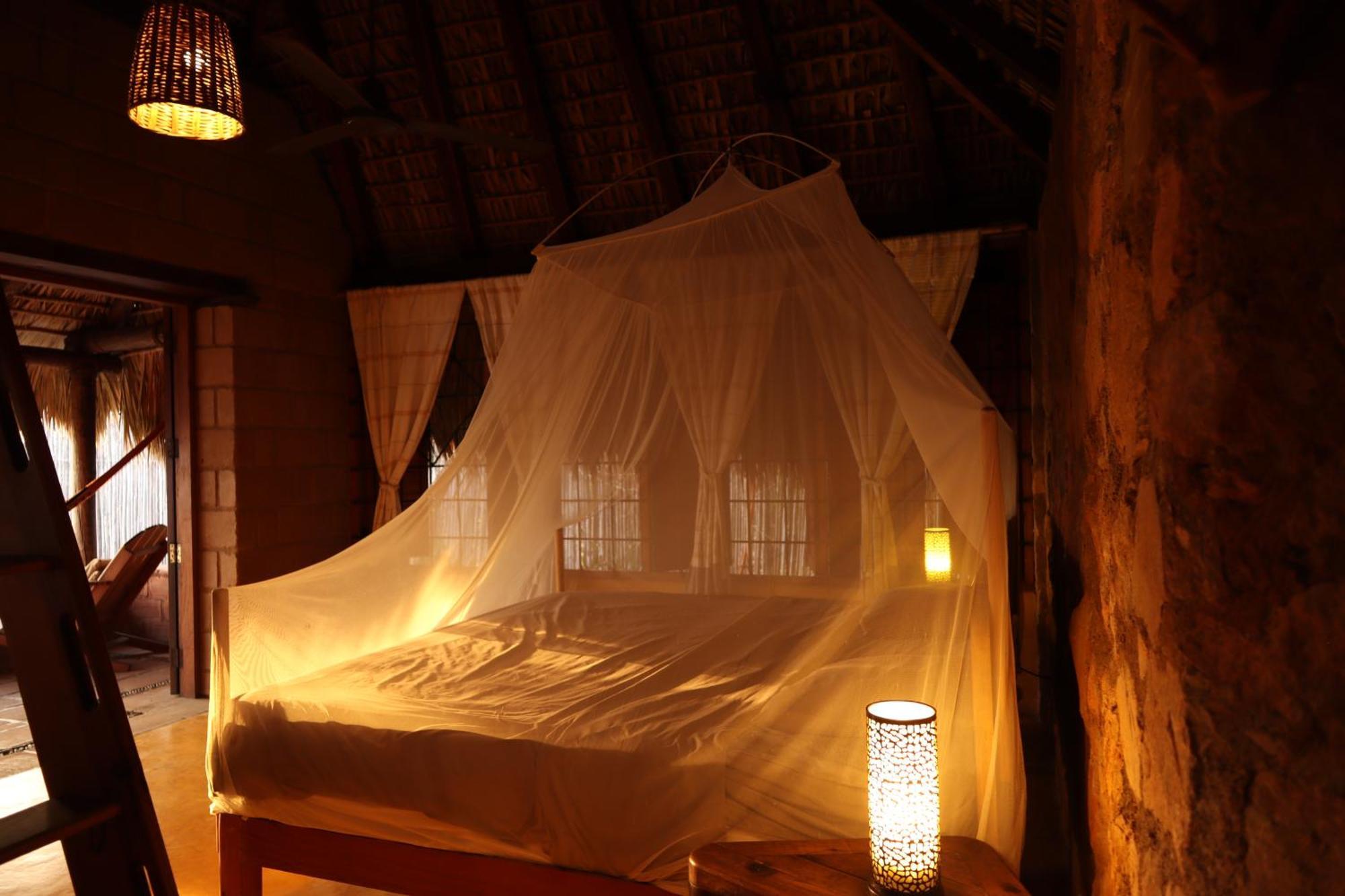 La Loma Linda, Bungalows, Yoga And Feldenkrais, Starlink Internet Zipolite Exteriör bild