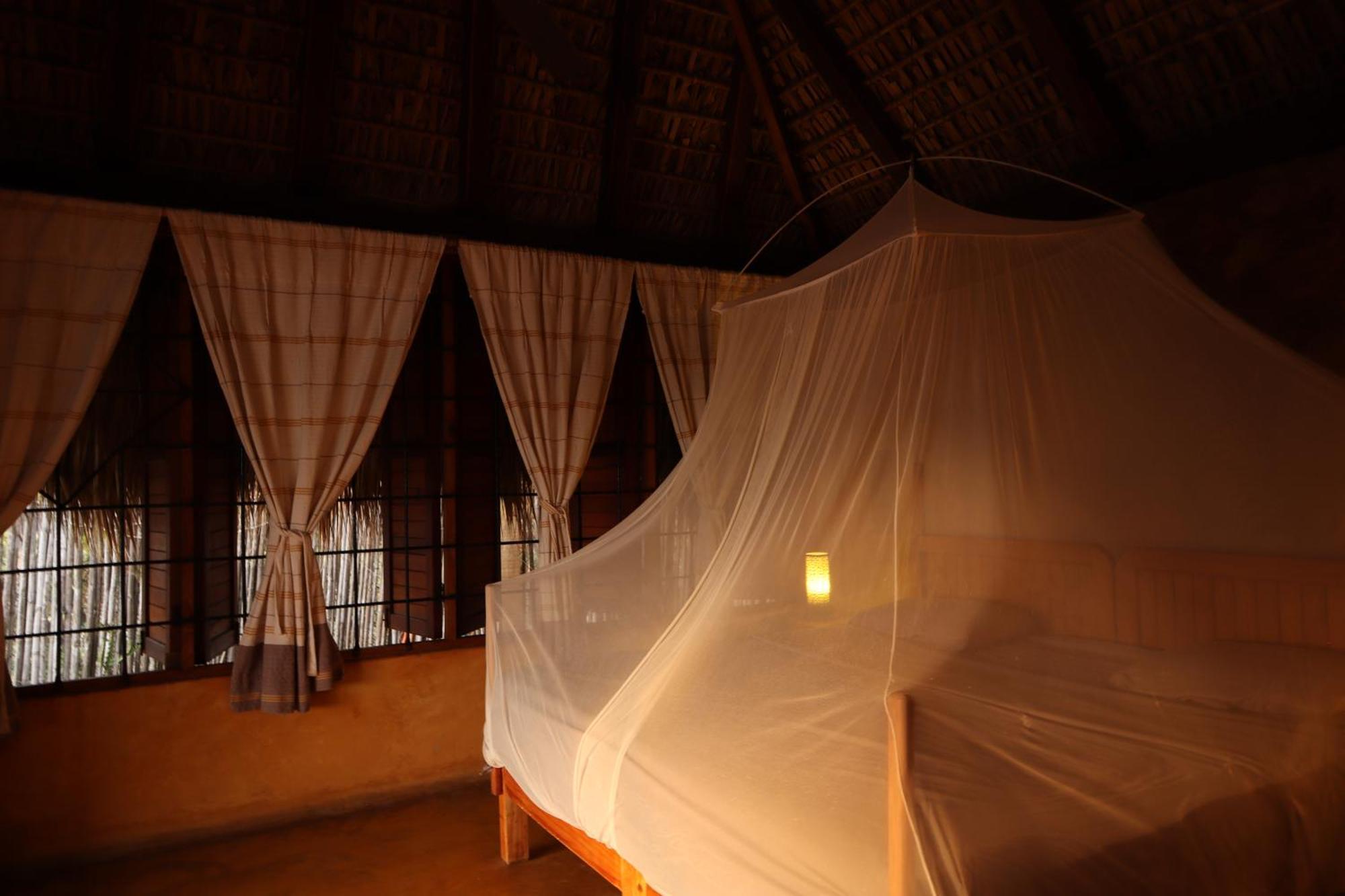 La Loma Linda, Bungalows, Yoga And Feldenkrais, Starlink Internet Zipolite Exteriör bild