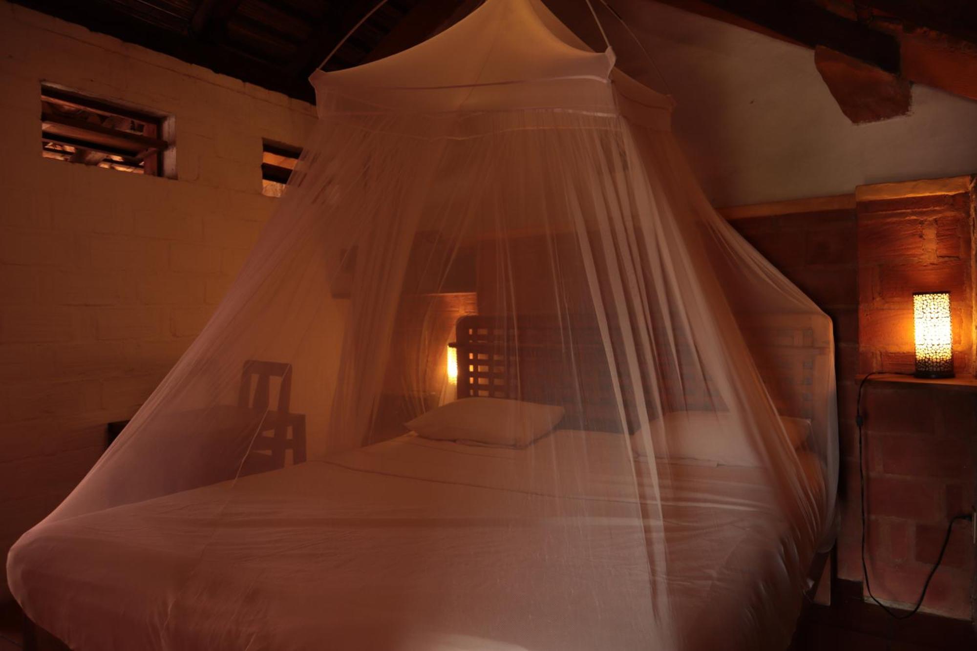La Loma Linda, Bungalows, Yoga And Feldenkrais, Starlink Internet Zipolite Exteriör bild