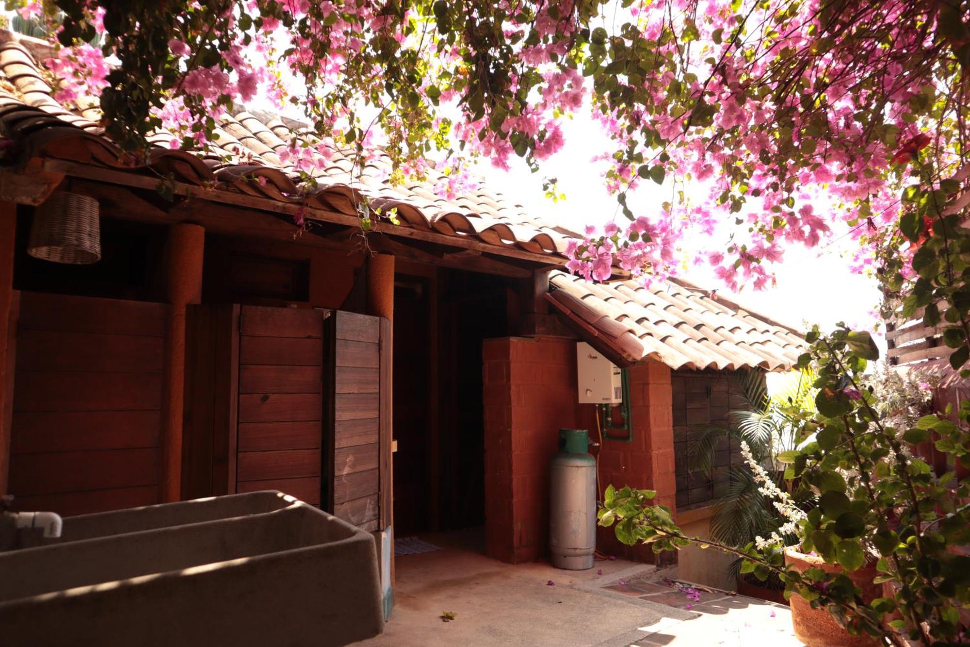 La Loma Linda, Bungalows, Yoga And Feldenkrais, Starlink Internet Zipolite Exteriör bild